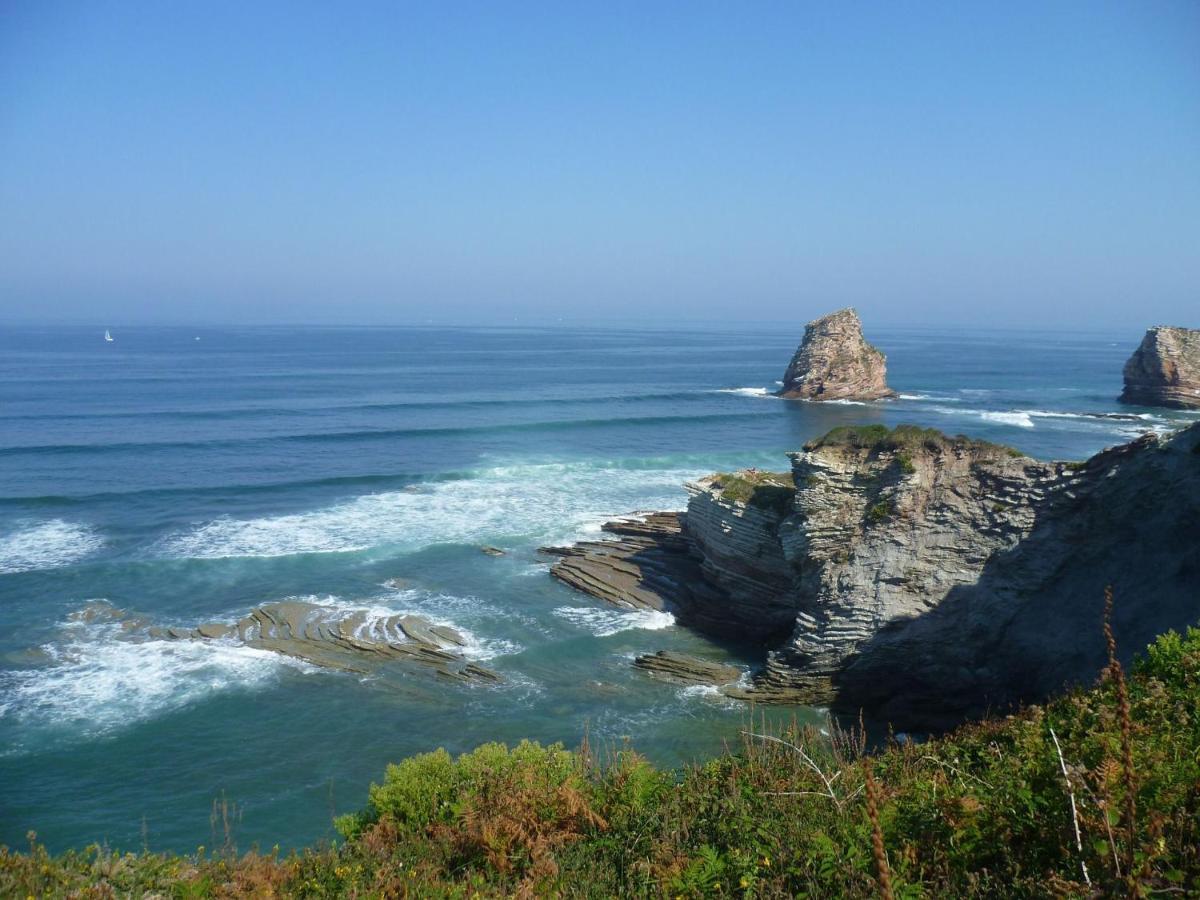 Hendaye-Plage A 200M De La Plage公寓 外观 照片